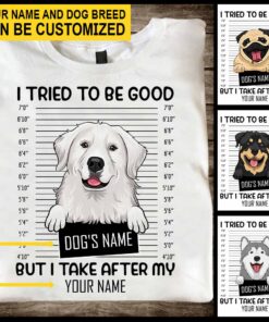 I Tried To Be Good - Dog Personalized T-shirt And Hoodie