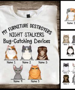 My Furniture Destroyers - Personalized Cat T-shirt and Hoodie