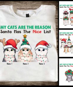 My Cat Is The Reason Santa Has The Naughty List - Personalized Christmas T-shirt and Hoodie