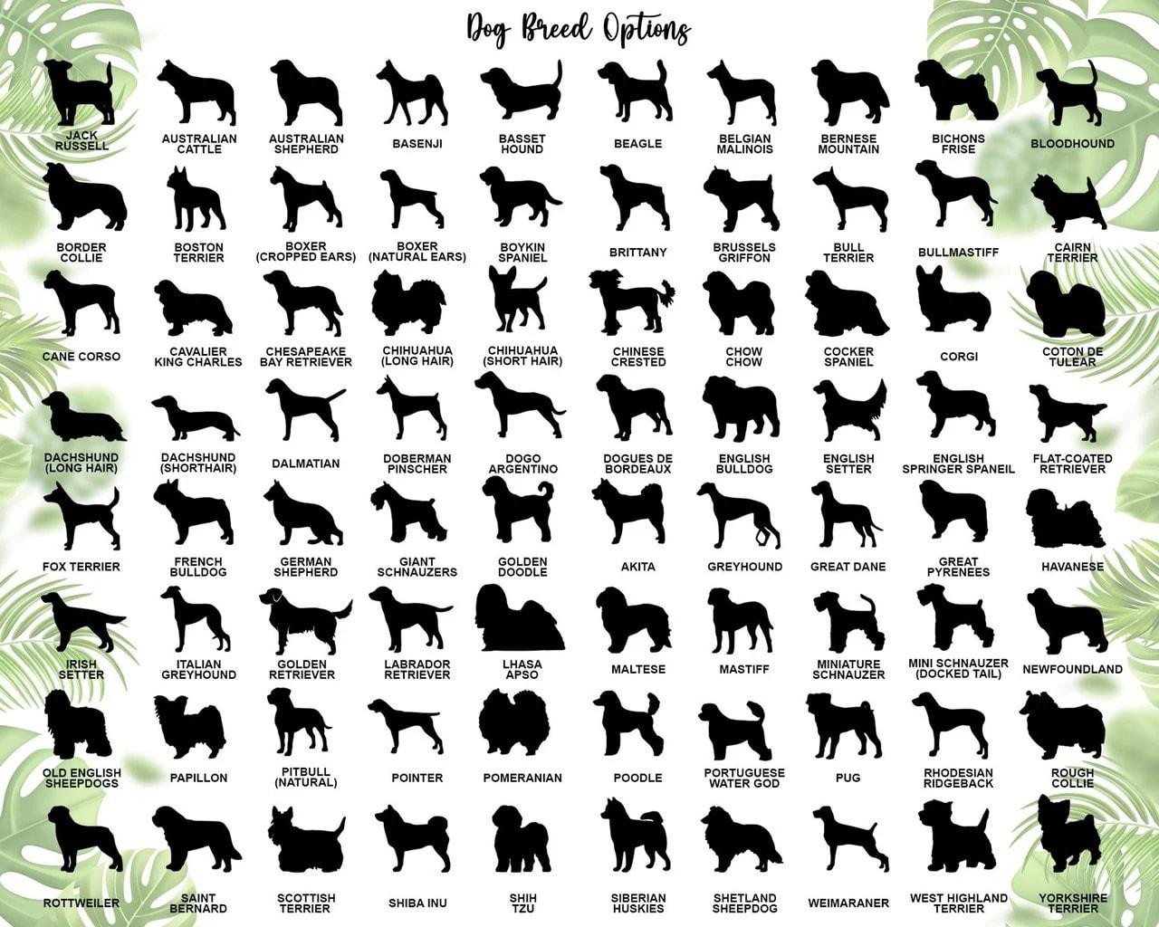 Personalized Loss Of Pet Sympathy Gift Pet Memorial Suncatcher Ornament - Christmas Ornaments Personalized Gift For Dog Lover - livanniespoon - Image 3